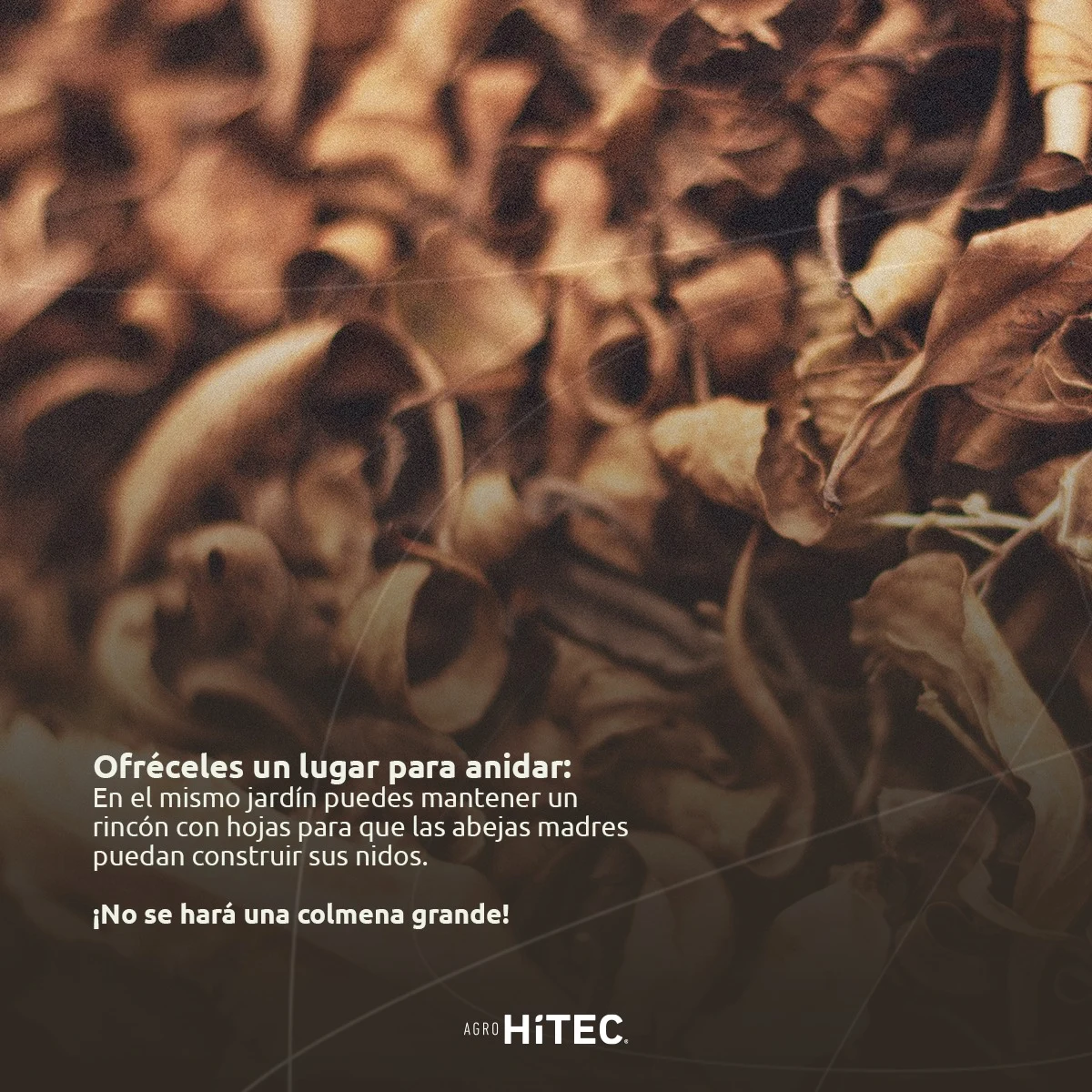 Pieza informativa aportada por AgroHiTEC: Refugios para abejas