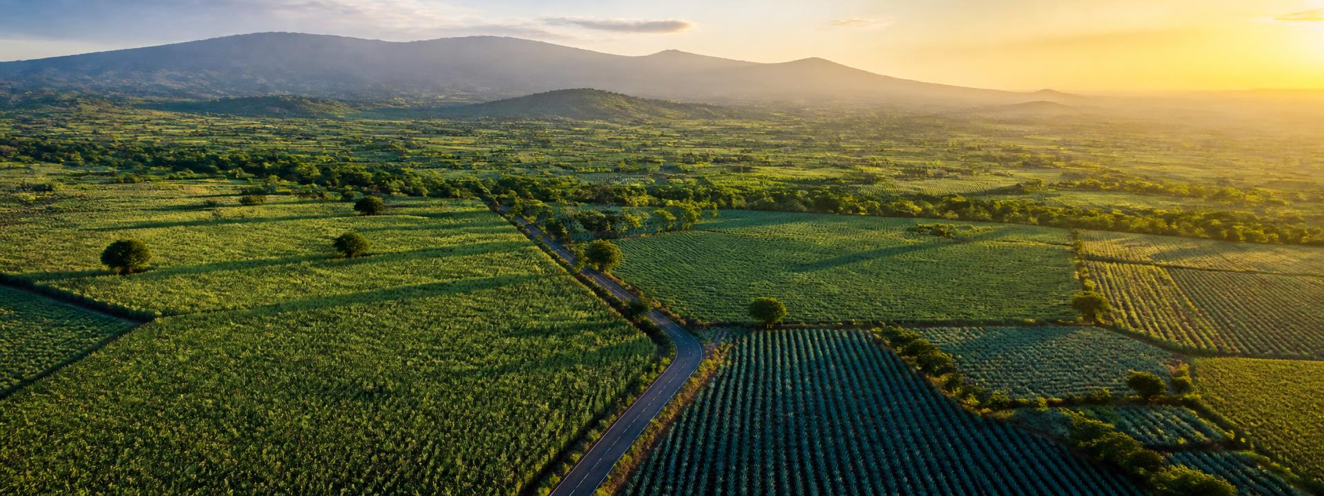 Campos agrícolas listos para labores de maquinaria