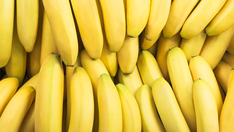 Cultivo de Plátano / Banano en México
