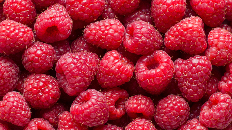 Cultivo de Frambuesa en México
