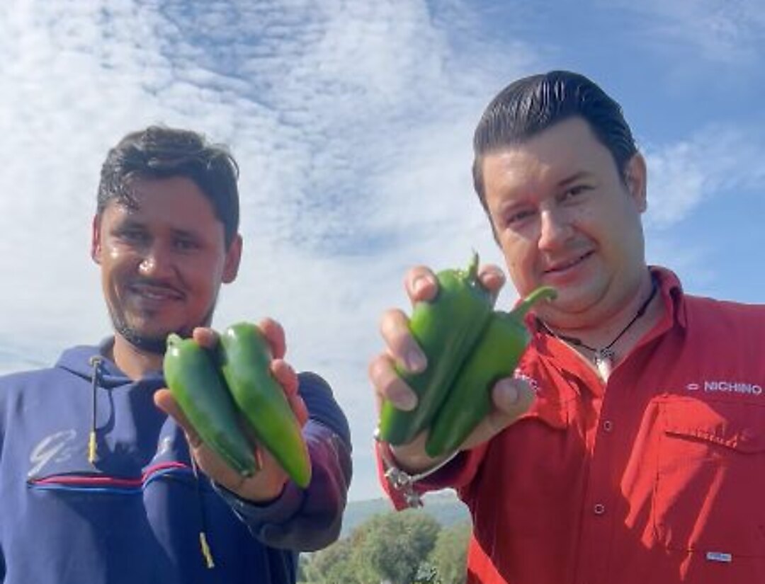 José Pablo Becerra con el Ing. Jesús Cervantes en su parcela de chile