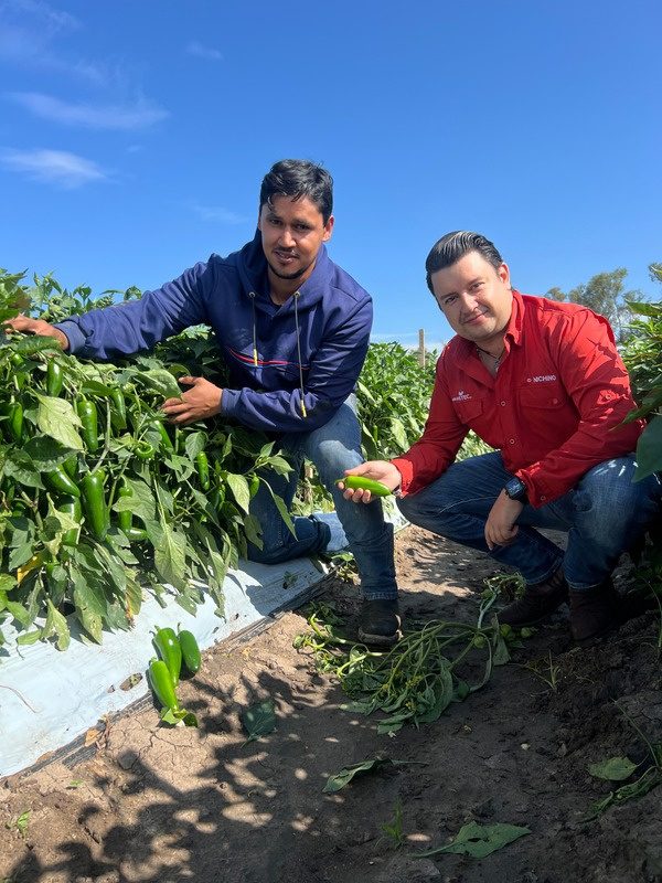Recorrido en la parcela de chile y maíz en Tototlán, Jalisco