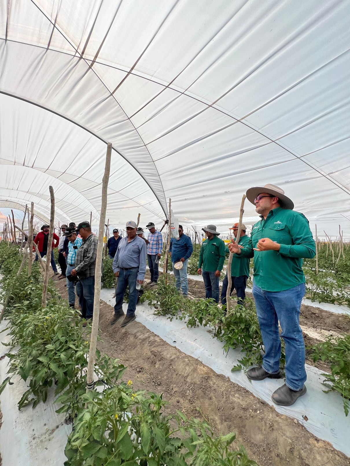 Recorrido técnico en invernadero durante el Día de Campo DURAMAX en Yurécuaro, Michoacán