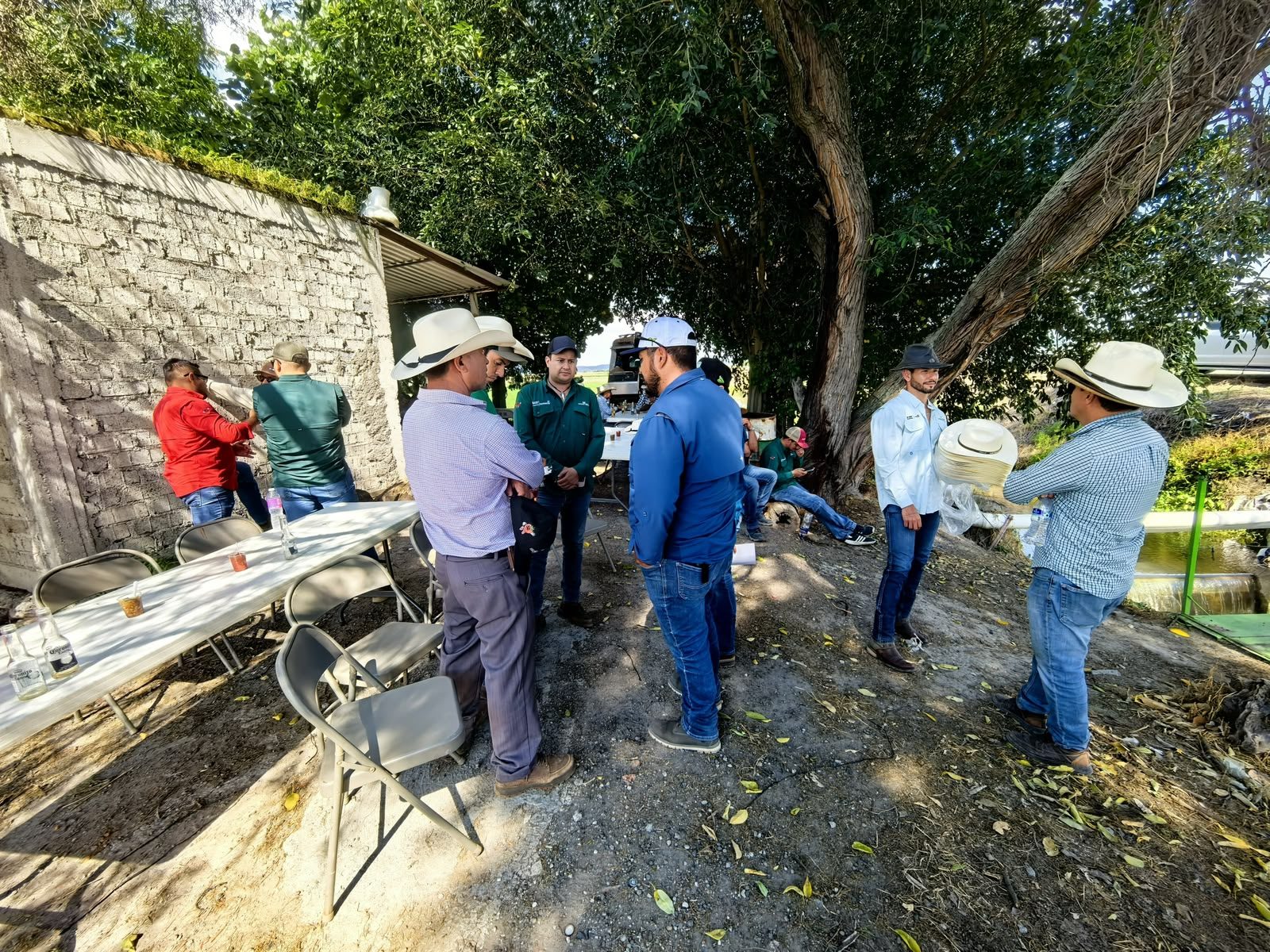 Interacción entre asistentes durante la experiencia en Viñedos Azteca