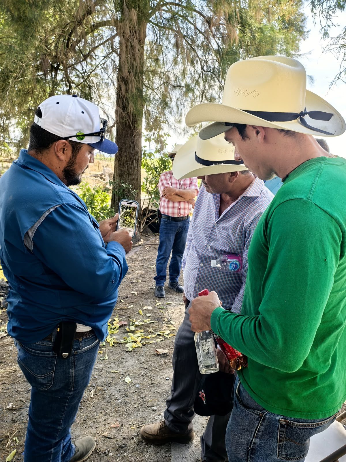 Asistentes revisando material vegetal durante el recorrido de la jornada