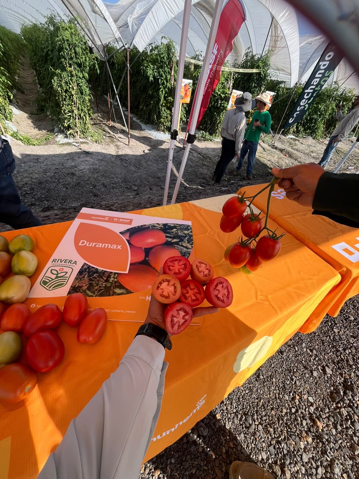 Muestra de fruta y material técnico en el cierre de la jornada en Ezequiel Montes