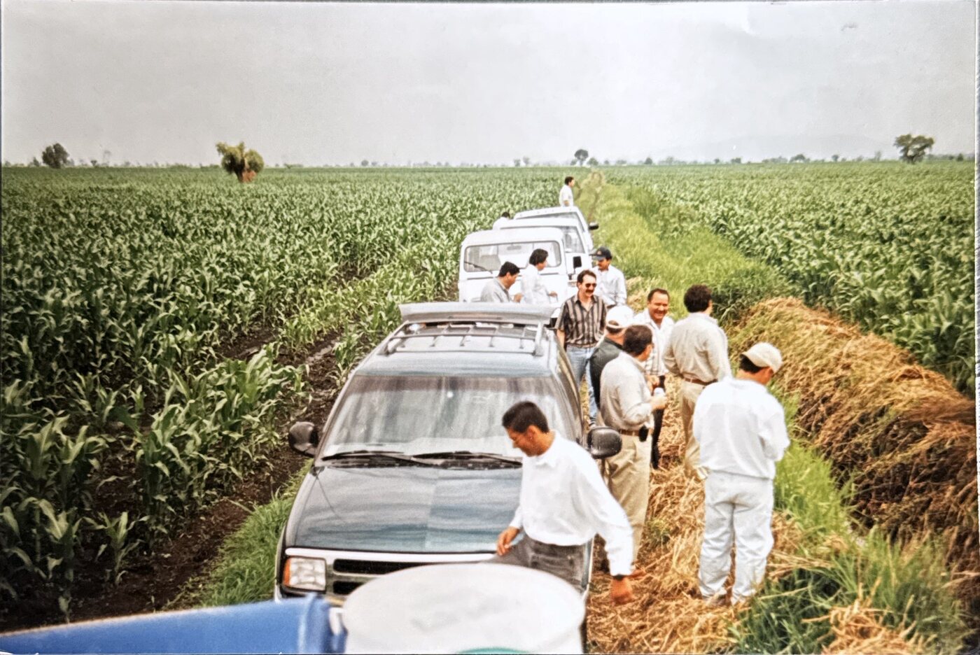 Recorrido en parcela de maíz con productores, archivo histórico de 1998